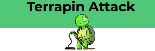 How to Mitigate Terrapin Attack on macOS